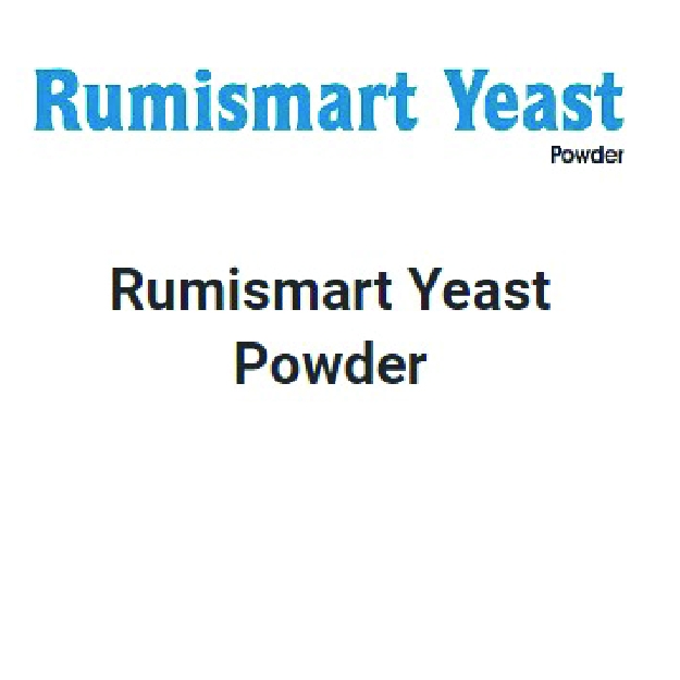 RumiSmart